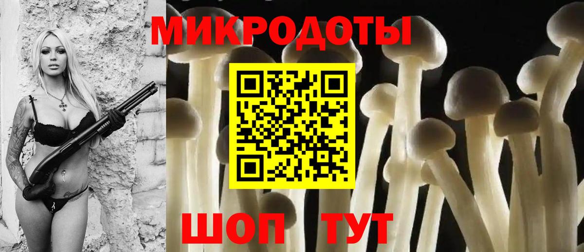 Набережные Челны  где можно купить   Вход с VPN  Псилоцибиновые грибы мухоморы 